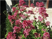 12f402e4-Picture 028.jpg